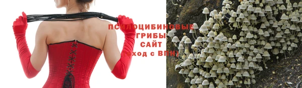 СК Зеленодольск