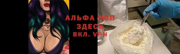 СК Зеленодольск