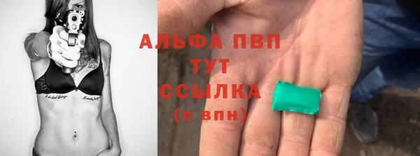 СК Зеленодольск