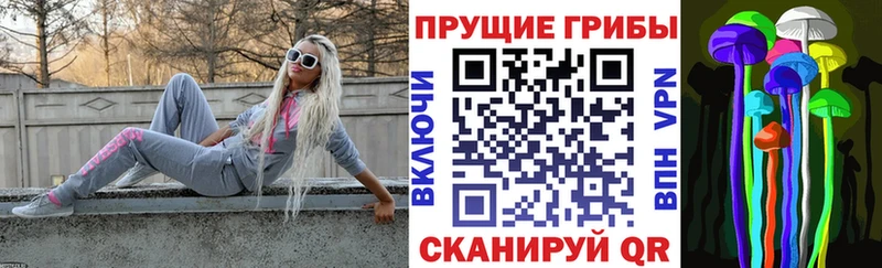 Галлюциногенные грибы Cubensis  Купить где  Осташков 
